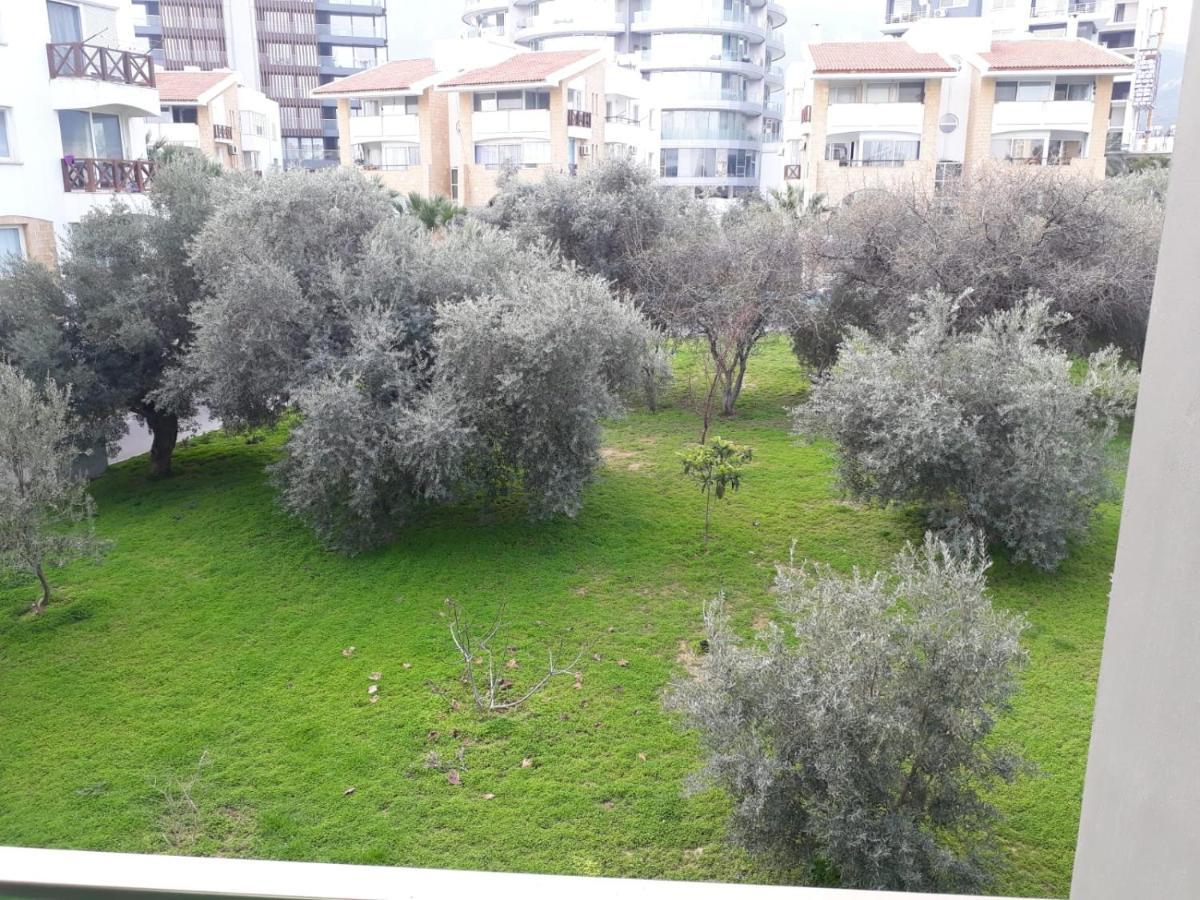 Ardem 5 Girne Luxury 1+1 Daire Dış mekan fotoğraf